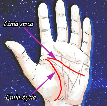 linia życia, linia serca