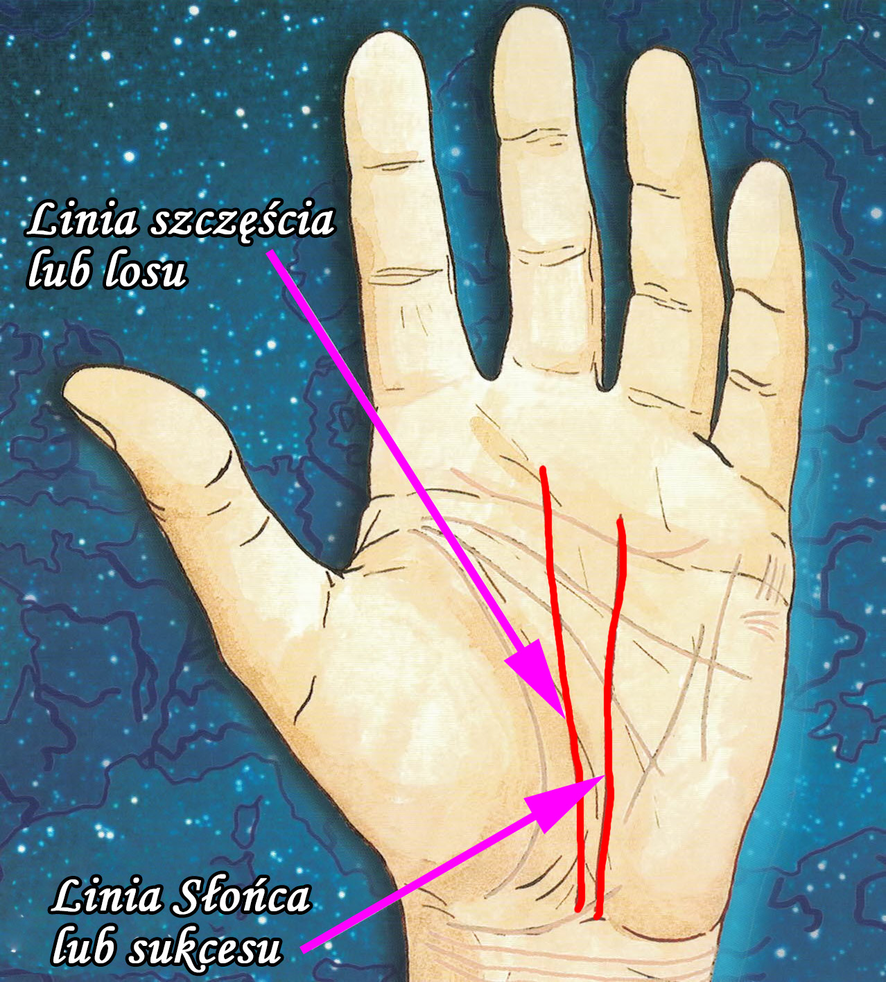 linia szczęścia, linia Slońca, linia losu, linia sukcesu