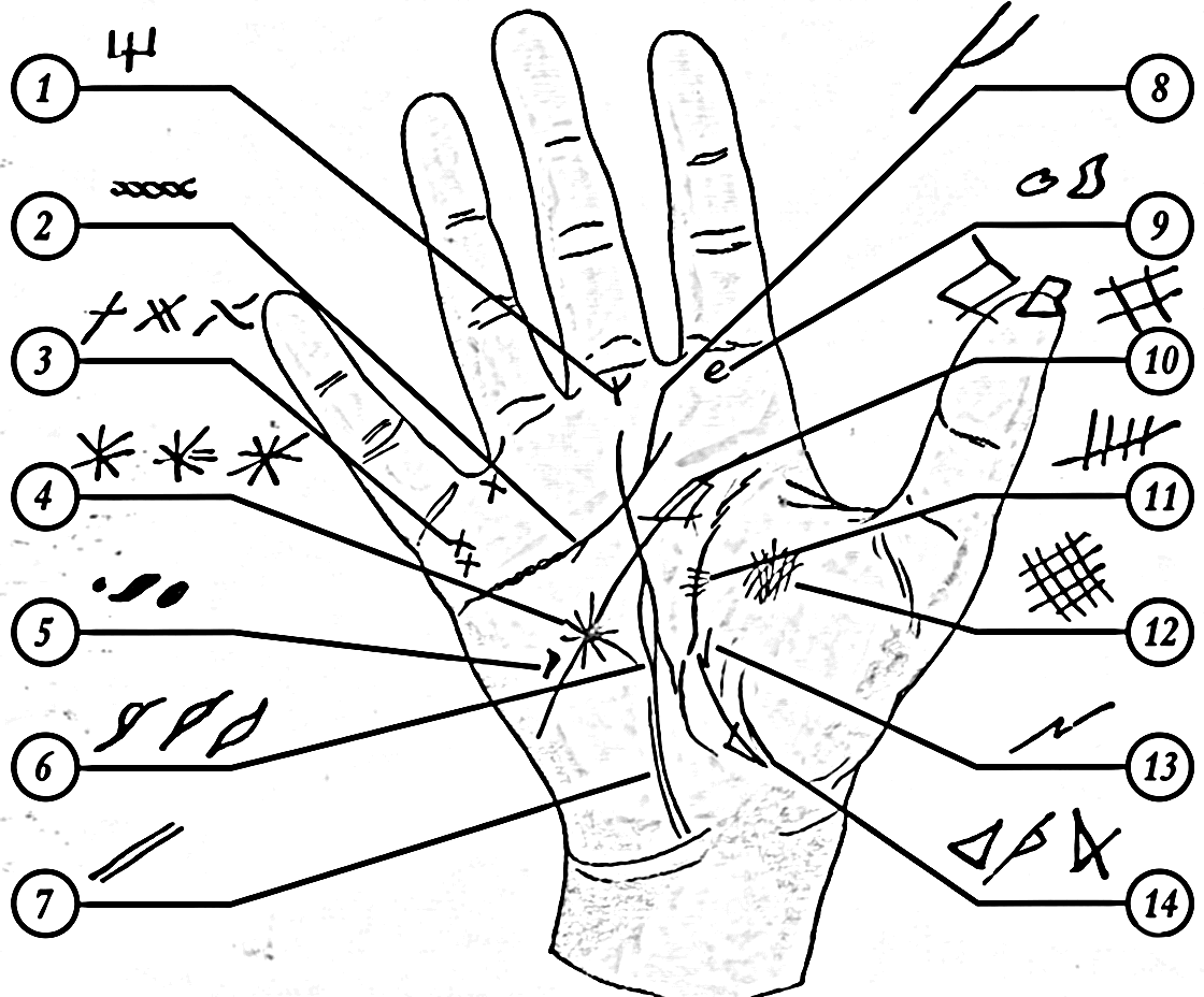 Palmistry signs on the hand